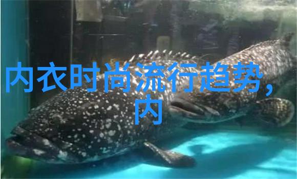 今年流行什么秋裤款式 会穿女孩们的衣橱里总少不了